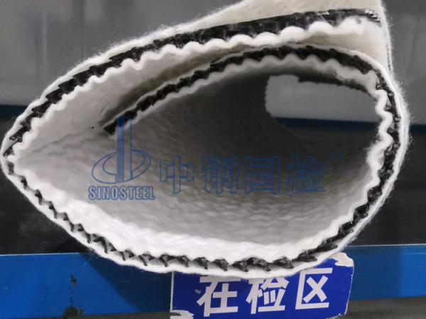 復(fù)合排水網(wǎng)檢測樣品
