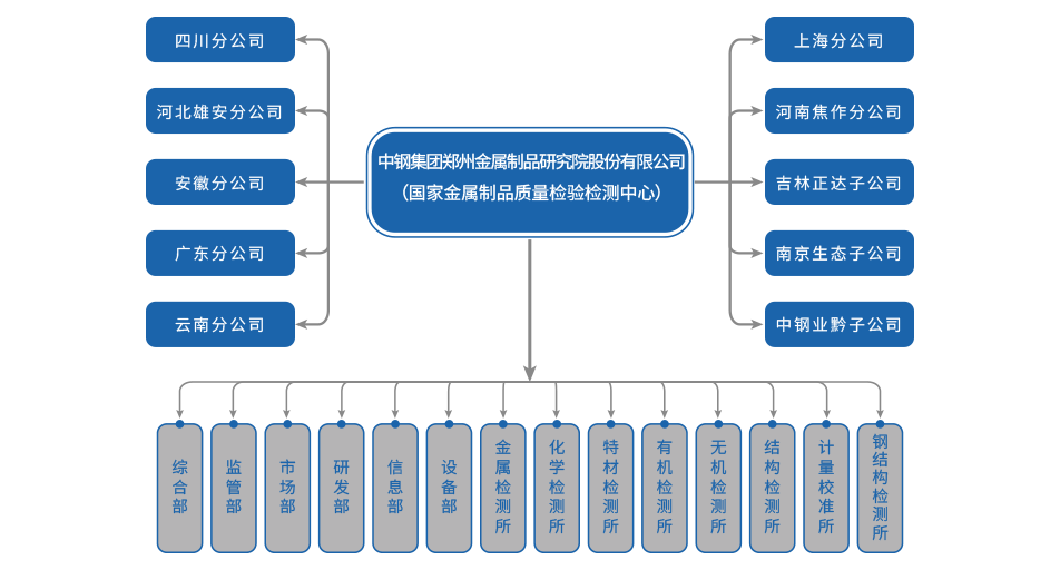 組織架構(gòu)